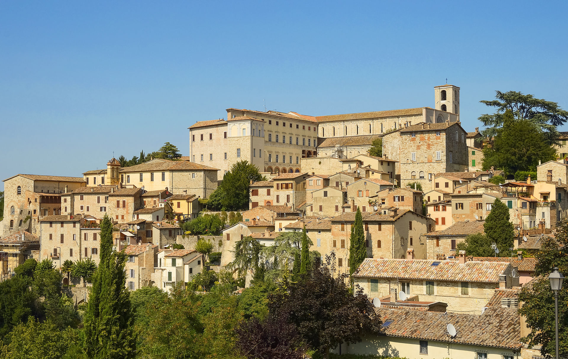 Todi Todi