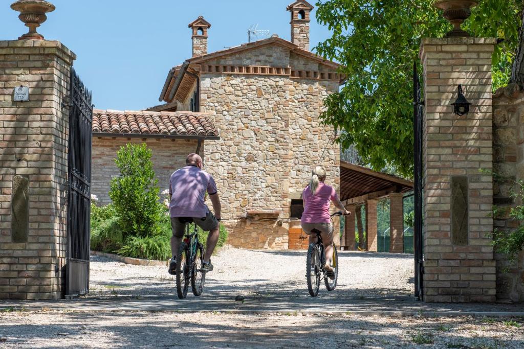 todi-truffle-agriturismo-relax Tartufaia