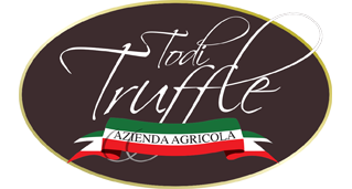 Todi Truffle  Agriturismo a Todi